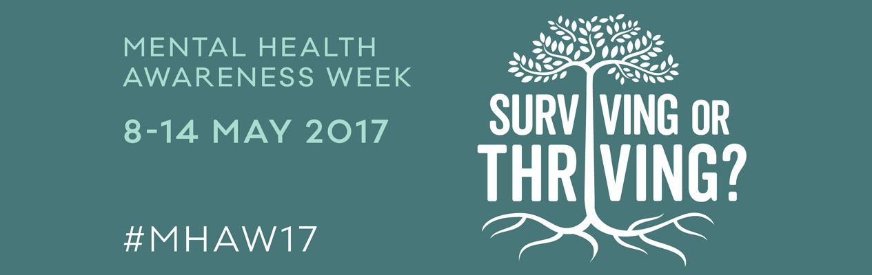 32ce6e_73173c5b28504cf4b73dd1f1d98bd913~mv2